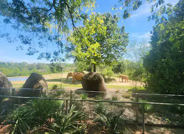North Carolina Zoo