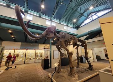 florida/southwest-florida/attraction/silver-river-museum-environmental-education-center