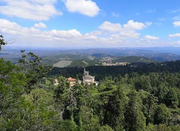 portugal/aveiro/attraction/serra-do-bucaco