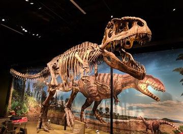 colorado/boulder/attraction/denver-museum-of-nature-science
