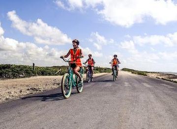 mexico/playa-del-carmen/attraction/beach-bum-cozumel