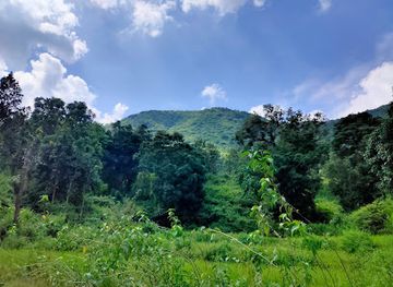 india/odisha/attraction/kurmingia-waterfall-rajagada