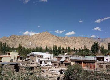 india/ladakh/attraction/central-asian-museum