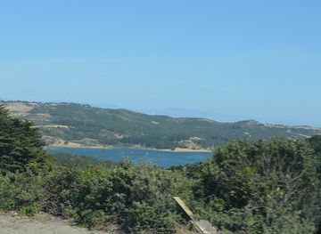 california/san-francisco-peninsula/attraction/windy-hill-open-space-preserve