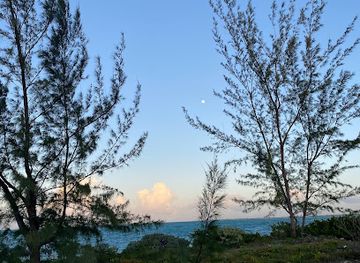 the-bahamas/inagua/attraction/farquharson-beach