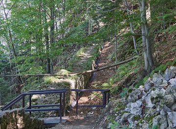 poland/pieniny-mountains/attraction/zamek-pieninski