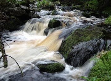 czechia/sumava-national-park/attraction/filipohutsky-potok