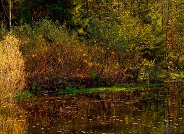 germany/sauerland/attraction/silbersee