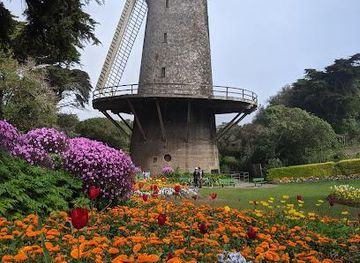 california/redwood-city/attraction/queen-wilhelmina-garden