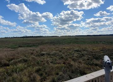 virginia/assateague-island/attraction/wildlife-loop