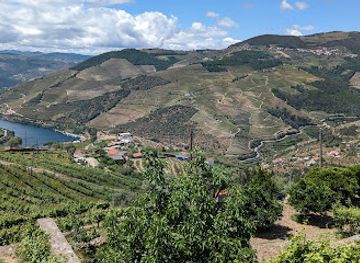 portugal/douro-valley/attraction/d-origem-museu-do-azeite