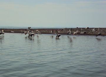 kenya/lake-turkana/attraction/south-island-national-park