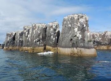 united-kingdom/northumberland-coast/attraction/national-trust-farne-islands