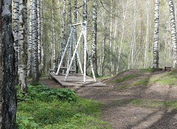 kazakhstan/ile-alatau-national-park/attraction/birch-grove-scenery