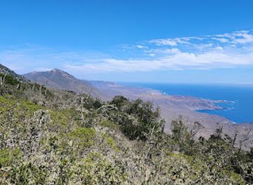 chile/coquimbo-region/attraction/parque-nacional-fray-jorge