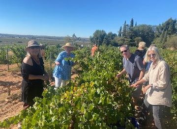 spain/valencia/attraction/valencia-wine-consulting-tours