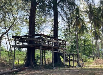 thailand/similan-islands/attraction/somkiati-wonderland