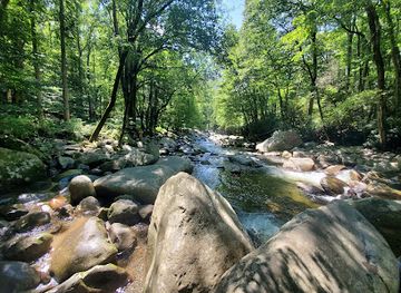 tennessee/great-smoky-mountains-national-park/attraction/chimneys-picnic-area