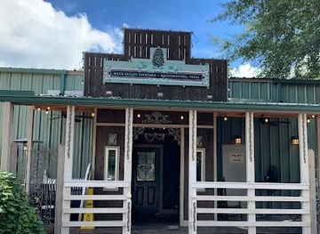 texas/piney-woods/attraction/naca-valley-vineyard