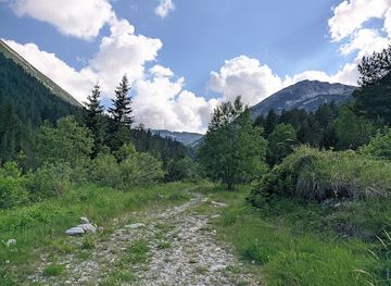 bulgaria/pirin-mountains/attraction/baikushev-s-pine