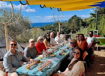 new-zealand/auckland/attraction/waivino-tours-limited