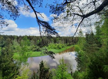 lithuania/anyksciai-treetop-walking-path/attraction/vetygalos-atodanga
