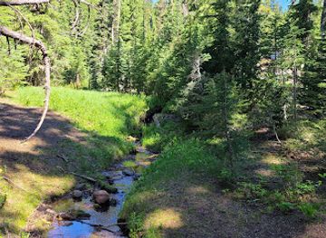 oregon/crater-lake-national-park/attraction/lady-of-the-woods