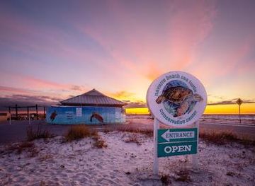 florida/pensacola/attraction/navarre-beach-sea-turtle-conservation-center