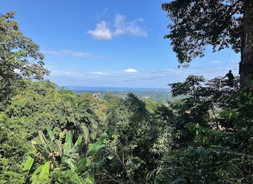 costa-rica/limon/attraction/brisas-de-la-jungla