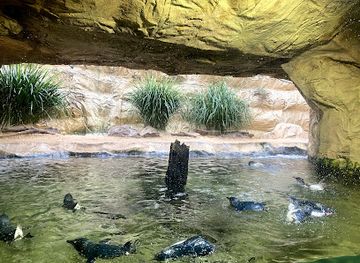 australia/top-end/attraction/sea-life-sydney-aquarium