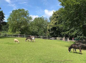 germany/holstein/attraction/wildpark-schwentinental