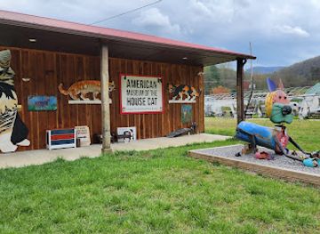 north-carolina/foothills/attraction/american-museum-of-the-house-cat