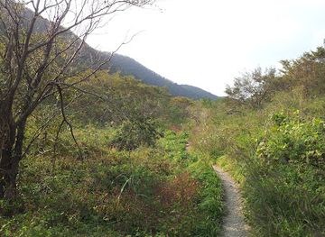 south-korea/naejangsan-national-park/attraction/jeongeup-ipamsan