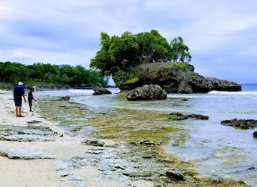 palau/angaur/attraction/ngeaur-island