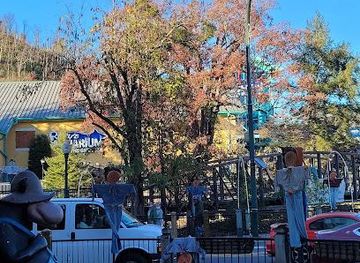 tennessee/knoxville/attraction/gatlinburg