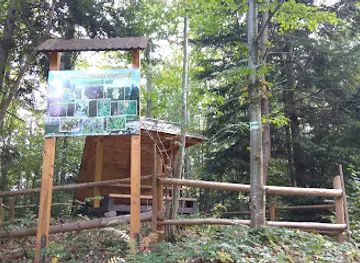Stil Dlya Vidpochynku