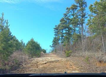 oklahoma/talimena-scenic-byway/attraction/beech-creek-national-scenic-and-botanical-area