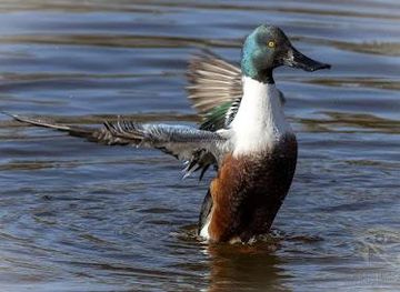 spain/malaga/attraction/paraje-natural-del-guadalhorce