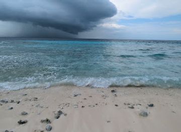maldives/ukulhas/attraction/bird-feeding-pont