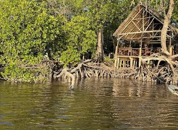 kenya/malindi/attraction/mida-creek