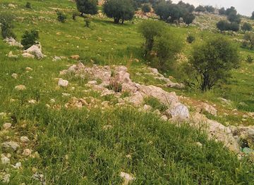 jordan/ajloun-castle/attraction/mat-hy-nmr