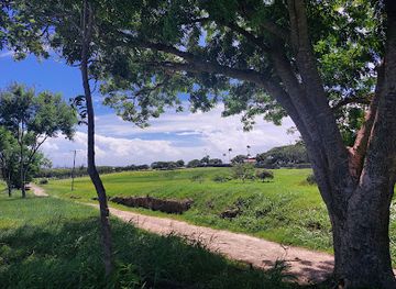 barbados/bridgetown/attraction/national-botanical-gardens