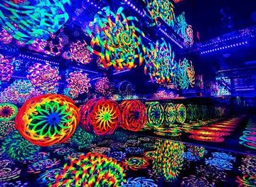 nevada/hoover-dam/attraction/wink-world