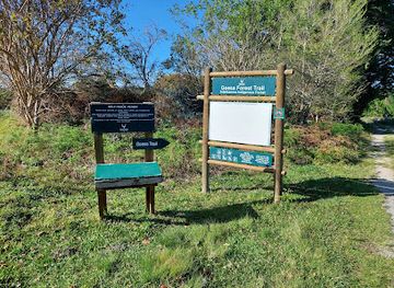 south-africa/tsitsikamma-national-park/attraction/goesa-walk