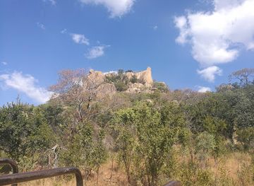 zimbabwe/matabeleland-south/attraction/chipangali-wildlife-orphanage