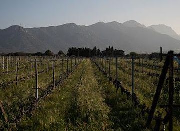 greece/kos/attraction/ktima-akrani-triantafyllopoulos-winery