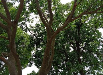 india/uttar-pradesh/attraction/adventure-s-place