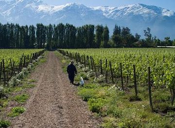 dominican-republic/santiago/attraction/vina-aquitania