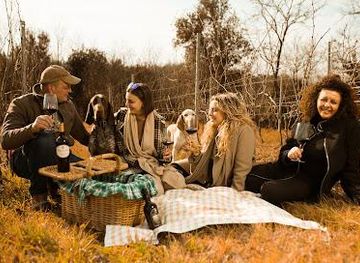 italy/pisa/attraction/fattoria-uccelliera-cantina