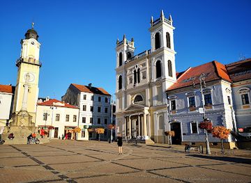 slovakia/banska-bystrica-region/attraction/st-francis-xavier-cathedral